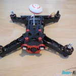 Floureon Racer 250
