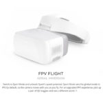 DJI Goggles